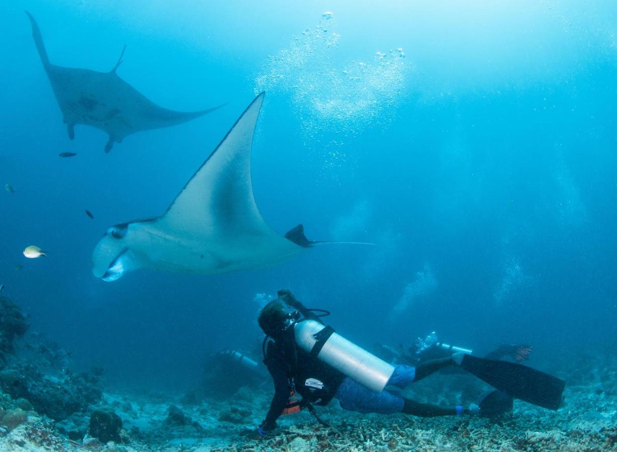 South Ari Dive Center Hotel Dhangethi Buitenkant foto