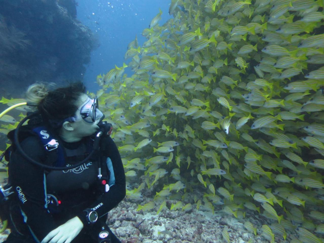 South Ari Dive Center Hotel Dhangethi Buitenkant foto