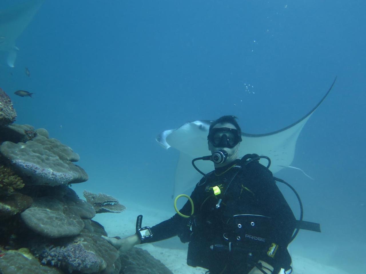 South Ari Dive Center Hotel Dhangethi Buitenkant foto