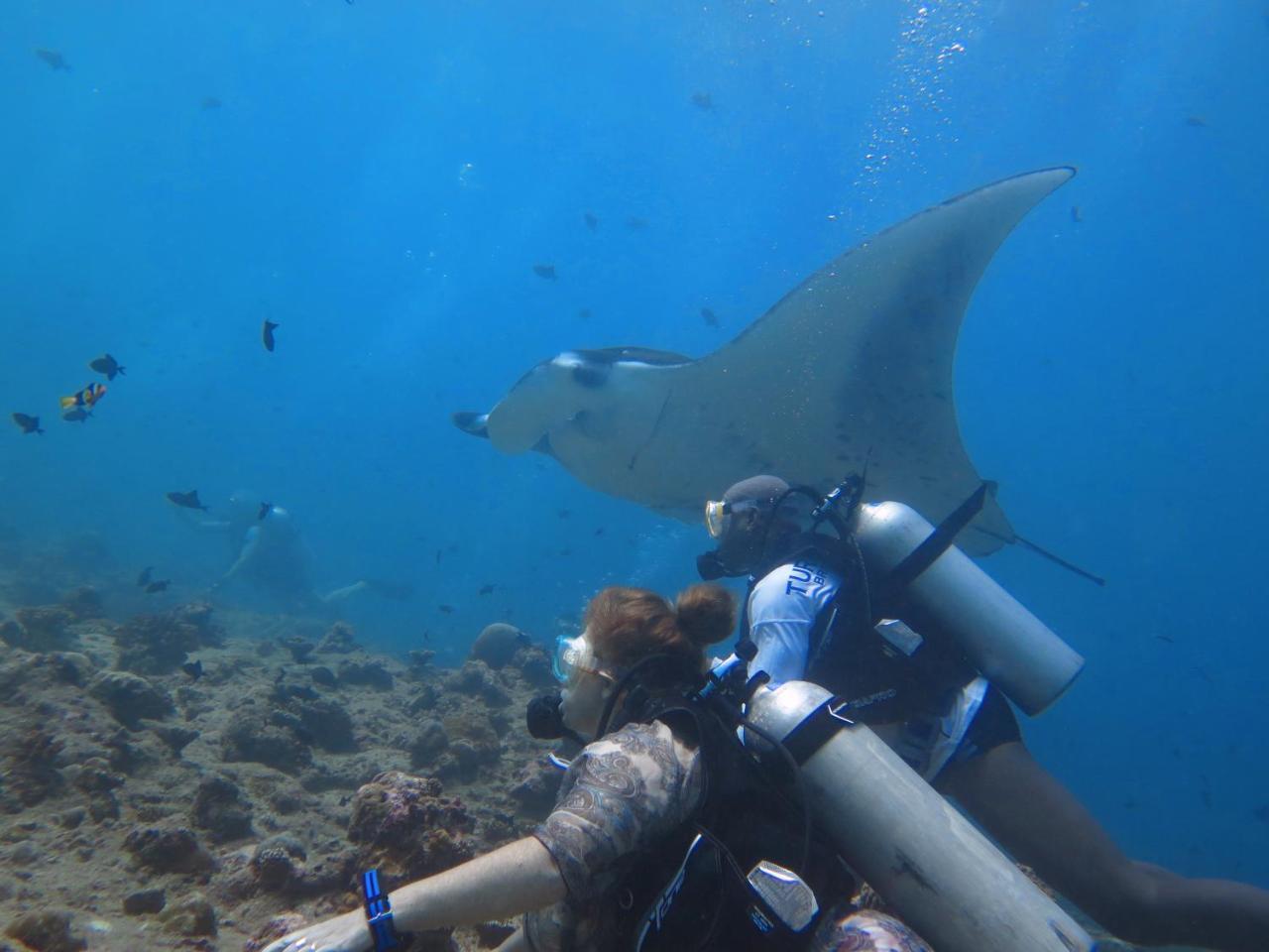 South Ari Dive Center Hotel Dhangethi Buitenkant foto