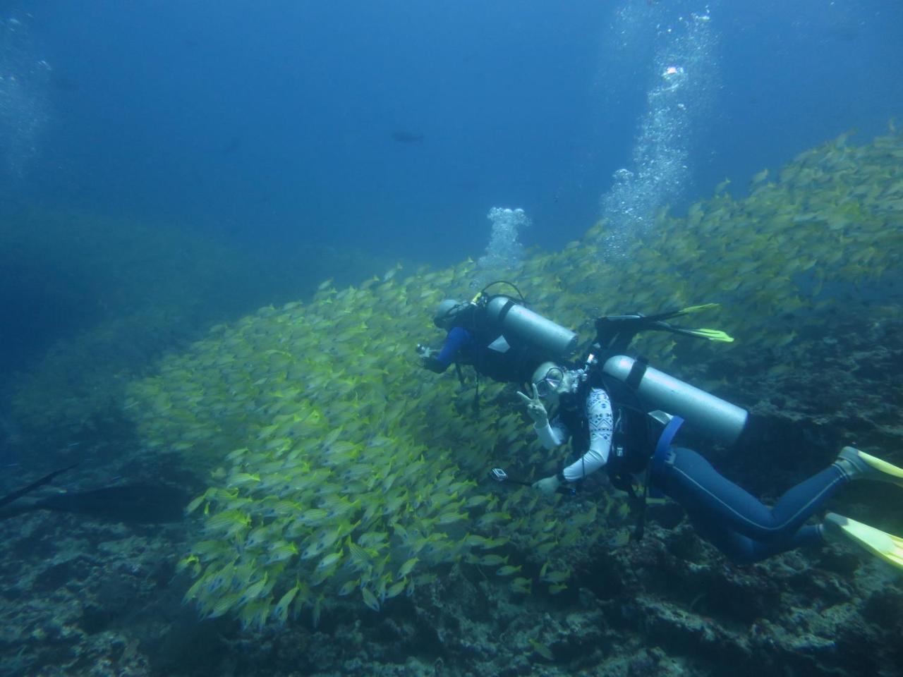 South Ari Dive Center Hotel Dhangethi Buitenkant foto