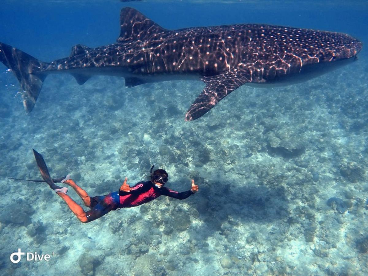 South Ari Dive Center Hotel Dhangethi Buitenkant foto